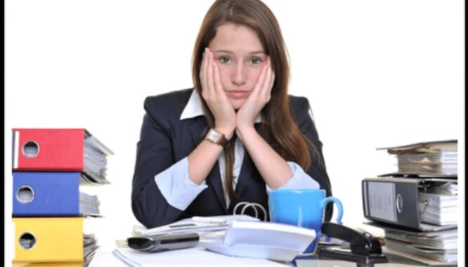 accompagner-stagiaire